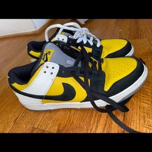 Used Nike sb dunk “bicycle”